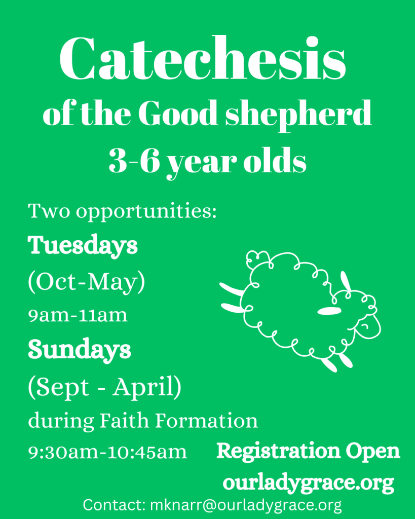 Catechesis (1)